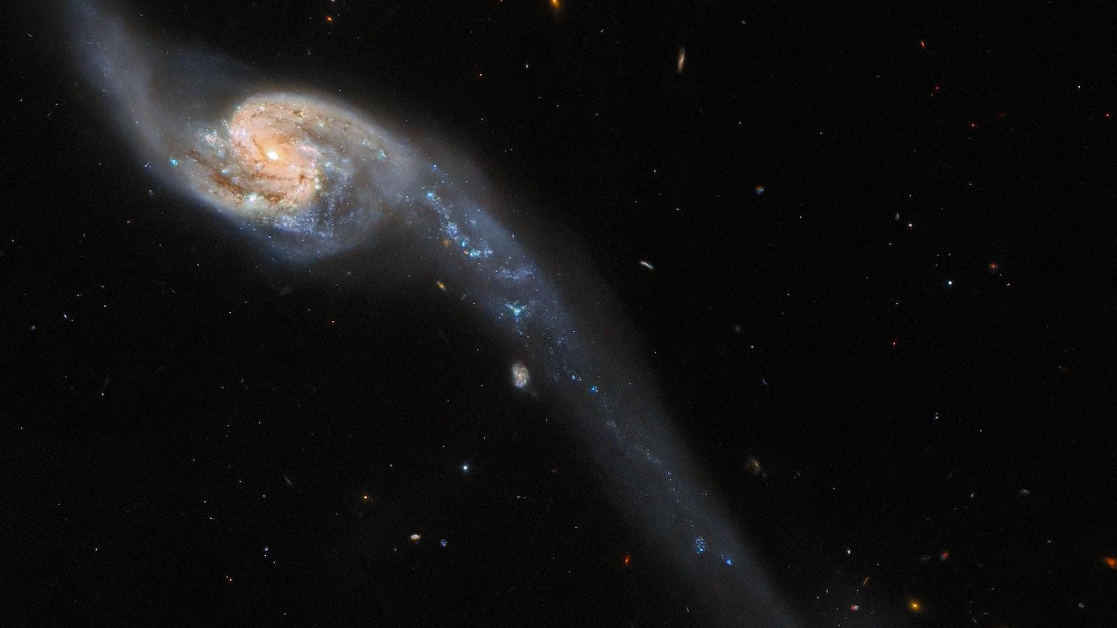 spiral galaxy with a long tidal tail